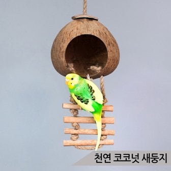 올블루 천연 코코넛 새둥지 중소형 앵무새 사다리 장난감