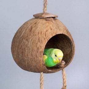 천연 코코넛 새둥지 중소형 앵무새 사다리 장난감