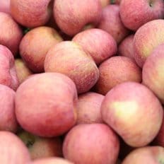 일농 25년 첫 수확 청송 햇 부사 사과 5kg