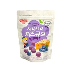 처음먹는 사각사각 치즈큐브 블루베리