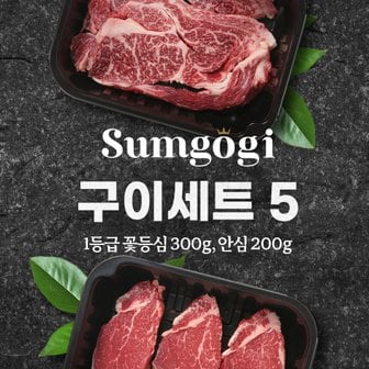 섬고기 숙성 1등급 암소 한우 구이세트5 (꽃등심300+안심200) 총 500g