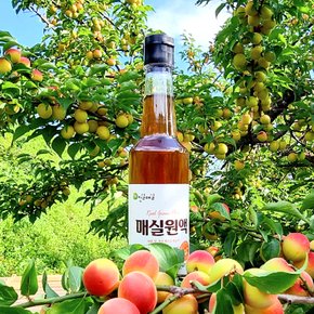 [광양진실매실] 진실매실 매실원액 500g x 1병