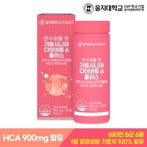 탄수화물 컷 가르시니아 다이어트6 플러스 120정x1개(2개월분)