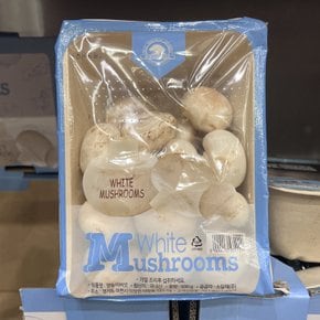 코스트코 양송이 버섯 500g
