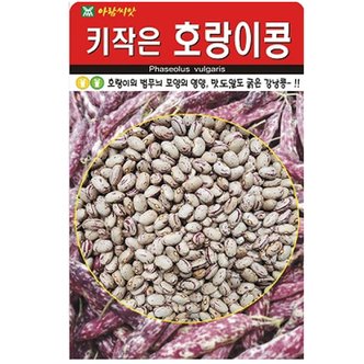  키작은 호랑이콩씨앗 30g