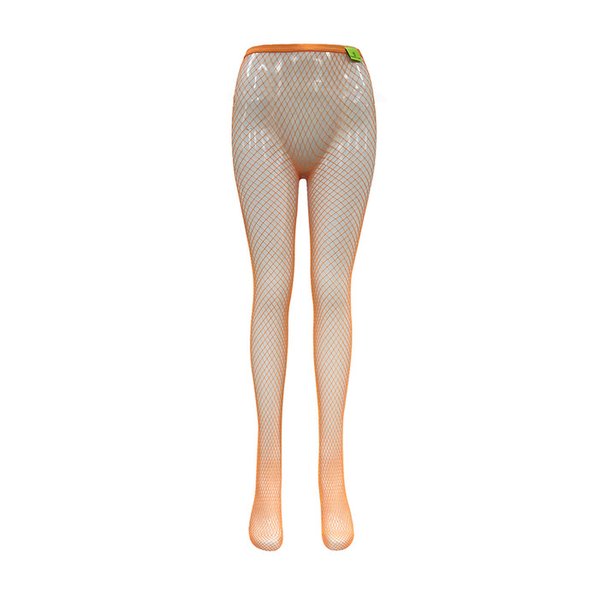 확대된 대표 image9