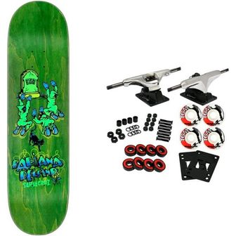  미국 산타쿠르즈 스케이트보드 Santa Cruz 스케이트board Complete Delfino Ego VX 8.25 x 31.6