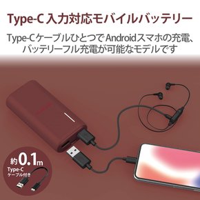 엘레컴 모바일 6700mAh 총2.6A A-C 케이블 포함 Type-C 입력 레드 DE-C23L-6700RD