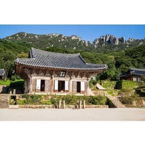 [1박2일] 해남 달마고도 완주(1~4코스), 땅끝마을 일출 감상, 미황사