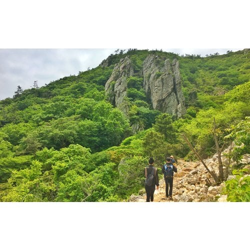 https://media.eoding.com/media/travelagent/40/imagecontent/course_photo10_BLe8ia2.jpg
