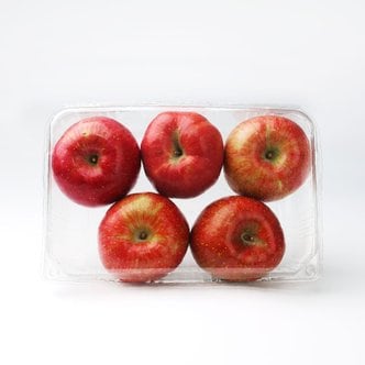 과일愛 오늘의 과일 사과 1.2kg