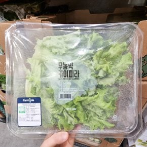코스트코 무농약 카이피라 400g