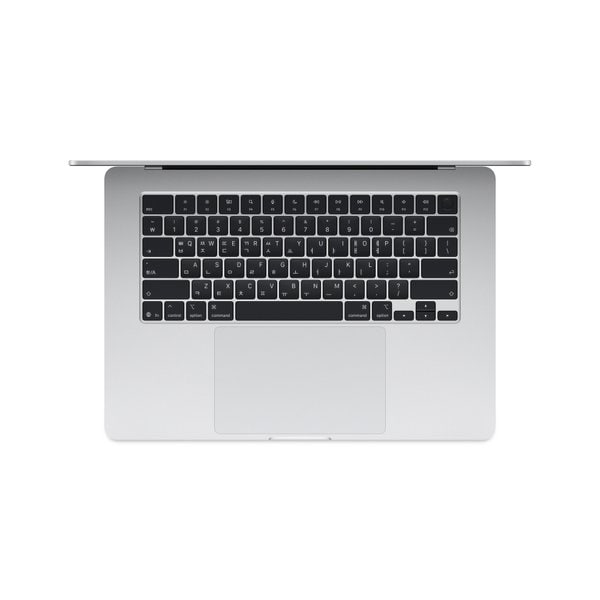 맥북에어 15 M4 (CPU 10코어/GPU 10코어) RAM 16GB SSD 256GB 실버 MW1G3KH/A