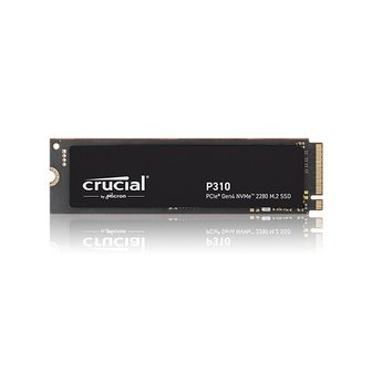  마이크론 Crucial P310 M.2 NVMe 아스크텍 (500GB)