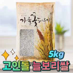 고인돌 국내산 잡곡 늘보리쌀 늘보리 5kg