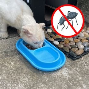 길냥이 길고양이 밥그릇 강아지 개미방지 개미퇴치