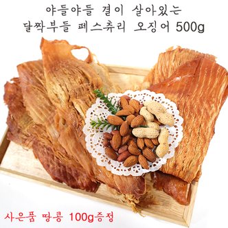 건해몽 [사은품 증정] 건해몽 달짝부들 패스츄리오징어 500g + 땅콩 100g 증정