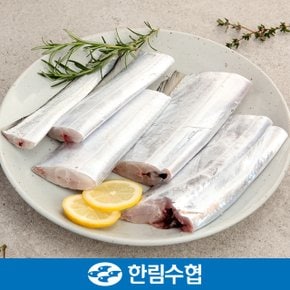 당일바리 생물 제주 은갈치 2미(손질_대)