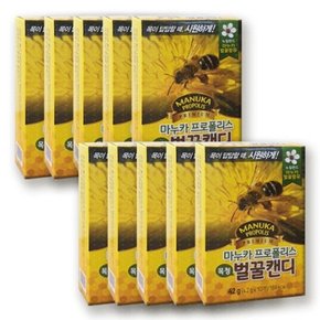 마누카 사탕 프로폴리스 캔디 10갑 벌꿀 멘톨 목캔디 목캔디 /환절기