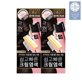 올뉴 쉽고빠른 크림염색 80G 2입