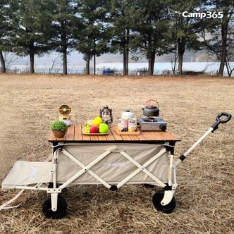 CAMP365 캠프365 파파웨건 스포츠 베이지 아웃라이더 뒷문 확장형 감성 캠핑 웨건