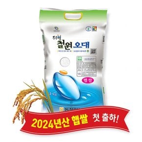 (강원S)(당일도정) 2024년산 동철원농협 철원오대쌀 4kg, 햅쌀