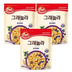 포스트 그래놀라 블루베리 500g x3개