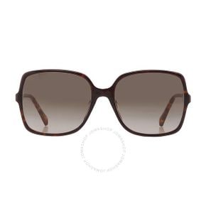 4664649 Jimmy Choo Brown Gradient Square Ladies Sunglasses