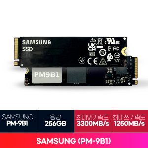 LG 삼성전자 PM9B1 M.2 NVMe 벌크 [256GB]