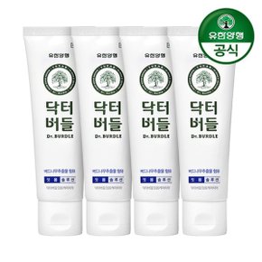 닥터버들 잇몸케어 치약 100g x 4개