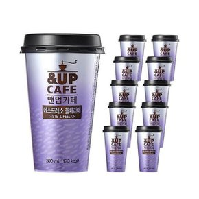 New앤업카페 에스프레소 돌체라떼 (300mlx10ea)