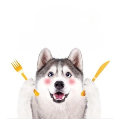 강아지 육포 간식 멍대리 치킨 연어포 300g 5P