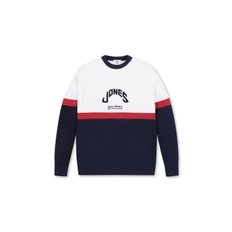 [WAAC X JONES] Men Logo Color-blocked Sweater(WMWAX24175NYX)