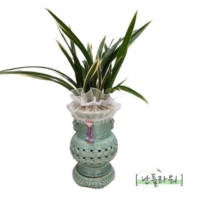 태양금 투각분 / 축하화분 승진난 취임난 영전난 축하란 태양금 / 천사난플라워