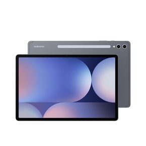 갤럭시탭 S10 플러스 512GB 5G [SM-X826N]