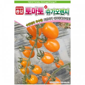 아시아종묘 토마토종자씨앗 대추방울토마토 신슈가오렌지 (20립)