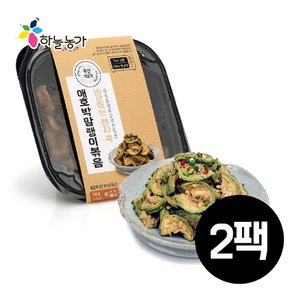 바로먹는 렌지쿡 애호박말랭이볶음 100g x 2팩