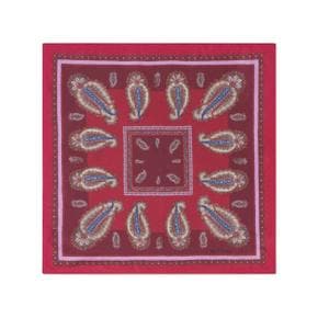 24 FW 에트로 paisley print silk scarf MAUA0004AS226 TP429505214