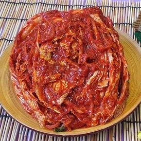 삼삼한 밥에는김치 김치양념 1kg 국내산100