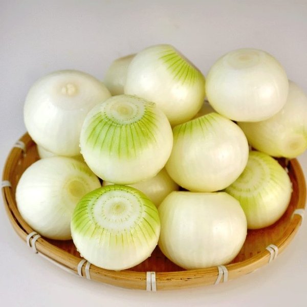 확대된 대표 image1