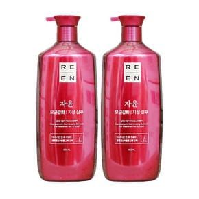 엘지 리엔 자윤 모근강화 지성 샴푸 950ML 2개 헤어