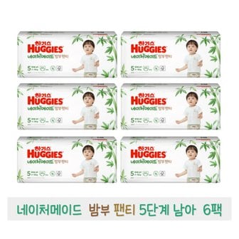  하기스 2021 네이처메이드 밤부 팬티 5단계 (남아) 44매 x 6팩