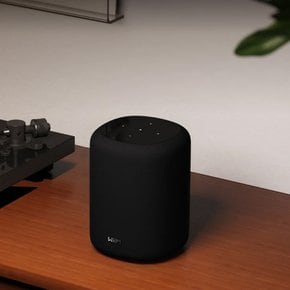 WiiM Sound Lite 윔 사운드 라이트 스마트 스트리밍 스피커 [스테레오 구매시 스탠드 증정]