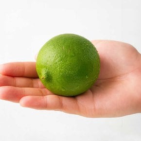 멕시코 생 라임 1kg (10-11입)