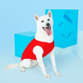 [BYC 본사] 개리야스 보디드라이 쿨런닝 ODB0005