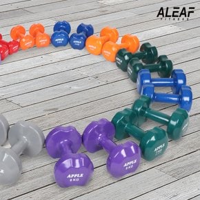 애플덤벨 4kg 2개 세트 아령 홈트 홈짐 헬스