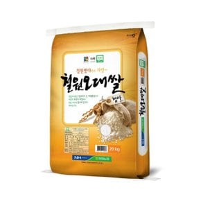 철원오대쌀 20kg