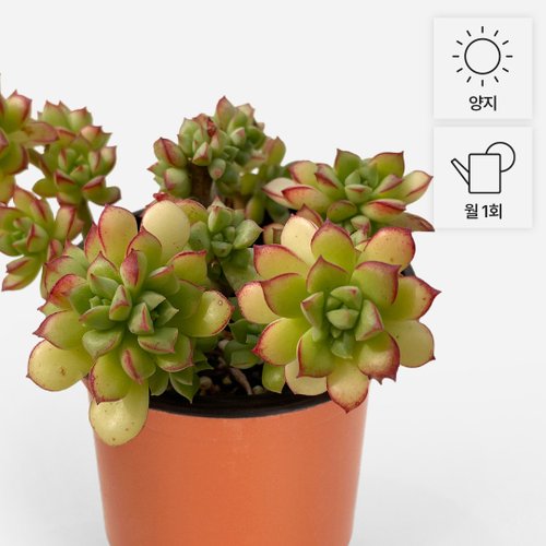 상품이미지3