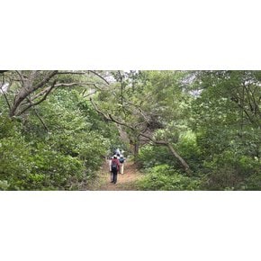 [당일/잠실·합정] 한강에서 유일하게 즐기는 갑문 특별체험! 김포 애기봉 조강전망 & 문수산 숲길