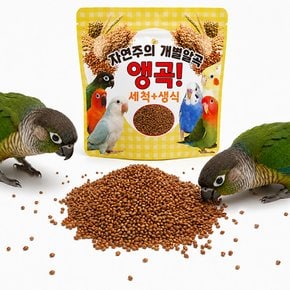 앵무새 간식 세척 볶음 알곡 사료 100g 먹이 간식 기장 조 들깨 씨드 홍화씨 해바라기씨